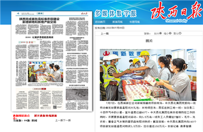 抖圈论坛西北集团珑樾府项目高温慰问——《陕西日报》